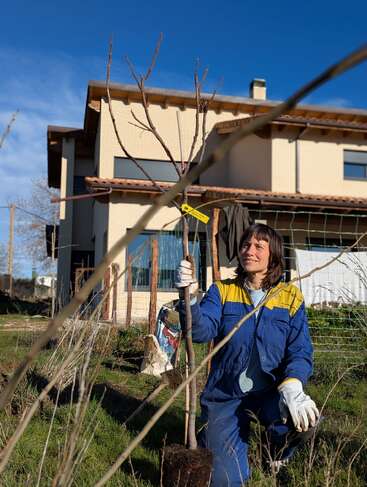 Eine Frau in blauer Latzhose kniet im Gras und pflanzt einen jungen Baum. Sie trägt Handschuhe, lächelt und arbeitet vor einem modernen Vorstadthaus im Sonnenlicht.
