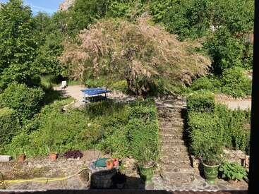 A lush garden with vibrant green plants, stone steps, potted flowers, and a large flowering tree. A blue ping pong table is visible in the background.