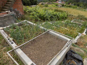 This image shows several raised garden beds with vegetables growing, surrounded by greenery and a brick building, in a rural setting with distant houses and fields.