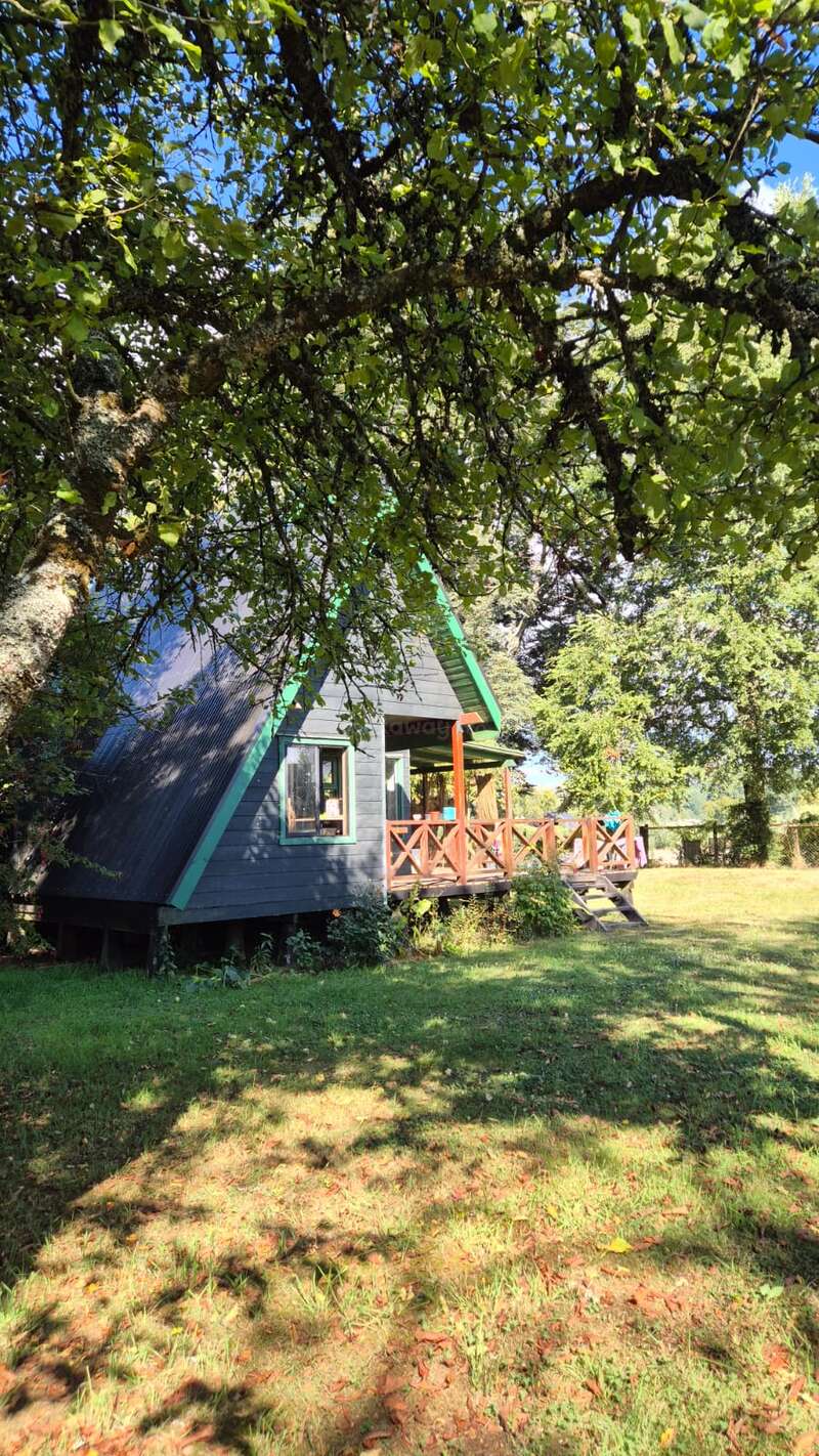 A charming A-frame cabin with green trim sits nestled among large shady trees, surrounded by lush grass, with sunlight filtering through the leaves, creating a peaceful atmosphere.