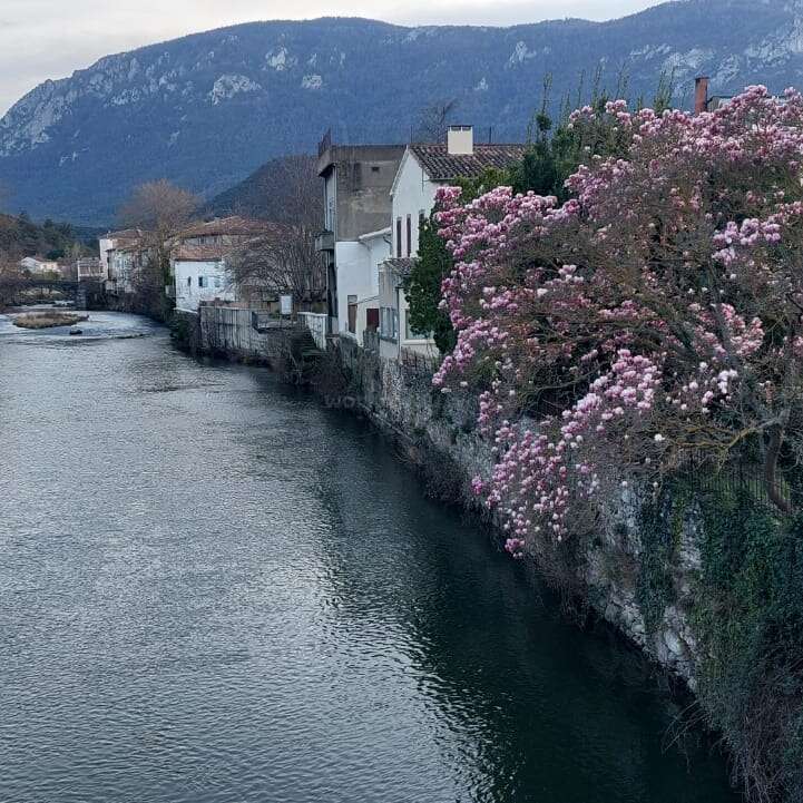Ein friedlicher Fluss fließt an bezaubernden Häusern vorbei, an deren Bäumen rosa Blüten blühen. Im Hintergrund erheben sich majestätische Berge unter einem ruhigen, bewölkten Himmel.