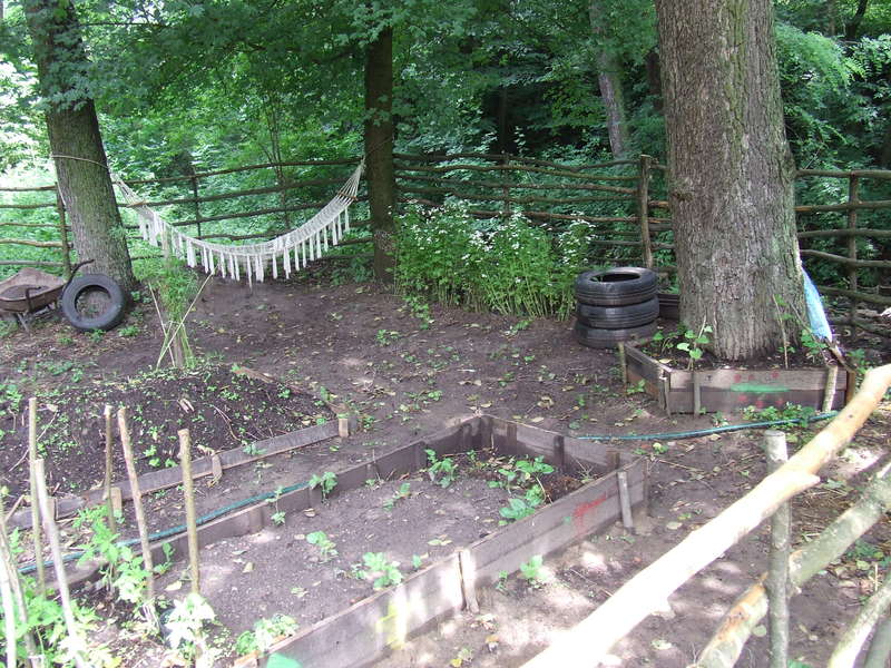 Learn about life in the beautiful forests of Hungary helping to teach