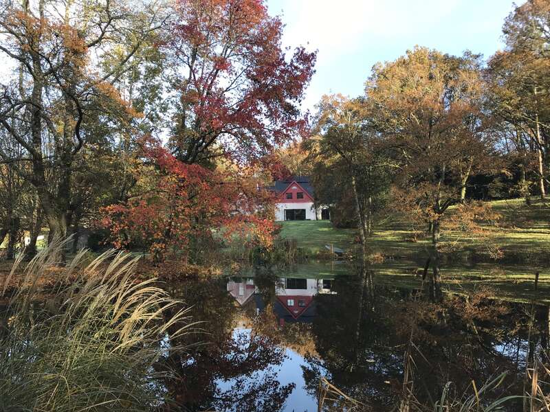 Das Bild zeigt ein Haus mit rotem Dach und weißen Wänden, das am Ufer eines ruhigen Teiches liegt, umgeben von Bäumen und üppigem Grün.