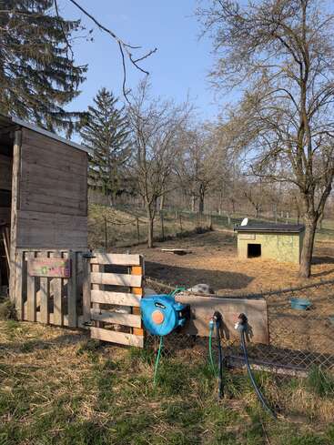 Un corral rústico con vallas de madera, un carrete para la manguera y grifos. La zona está rodeada de árboles, y se puede ver un pequeño refugio para animales y unos comederos.