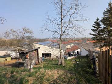 Un patio trasero rural con césped irregular, un árbol sin hojas, un cobertizo de madera, varios tejados y vallas. Los árboles y los edificios se extienden hasta el horizonte bajo un cielo despejado.