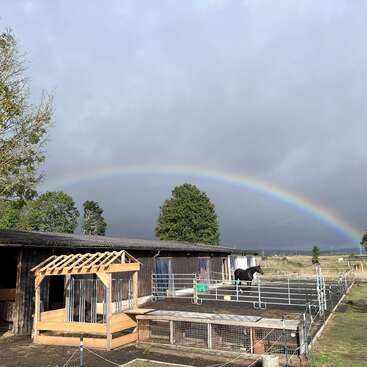 A vivid rainbow arcs across a cloudy sky above a farmyard. There’s a black horse in a fenced area, wooden sheds, trees, and green fields.