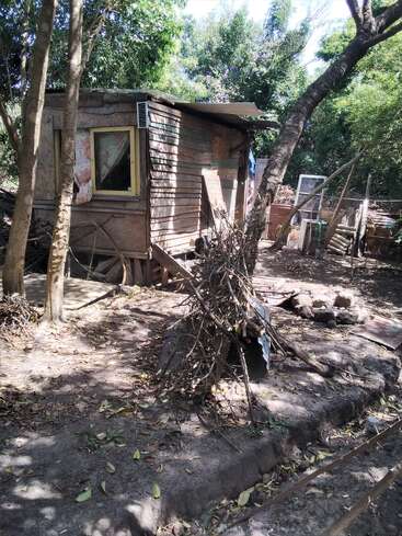 A rustic wooden shack stands among trees, surrounded by branches, scattered leaves, and a pile of sticks. Sunlight filters through dense foliage, creating a simple, rural scene.