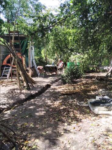 A person sits at a table under leafy trees in a rustic outdoor setting. There’s a tent, wooden ladder, and scattered garden tools nearby. Peaceful atmosphere.