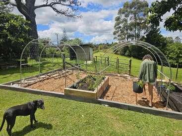 Eine Person arbeitet in einem Gartenbeet mit Metallrahmen, während ein schwarzer Hund in der Nähe auf dem Rasen steht. Üppiges Grün und Bäume umgeben die Szene im Hinterhof.