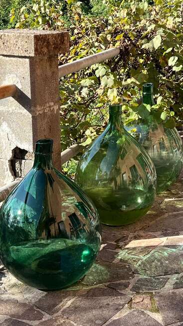 Three large green glass demijohn bottles sit on a stone patio, surrounded by leafy vines and sunlight, reflecting their natural and architectural surroundings beautifully.