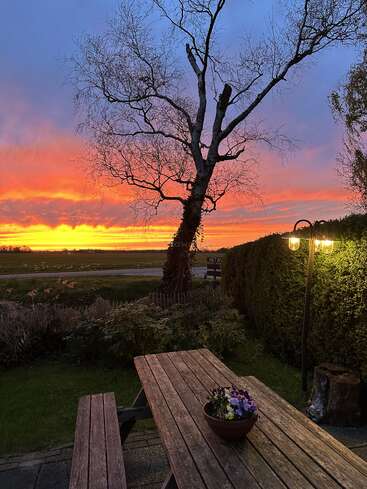 Un magnifique coucher de soleil illumine le ciel d'orange et de violet derrière un arbre dépourvu de feuilles, une table de pique-nique en bois ornée de fleurs, une végétation luxuriante et une lampe de jardin diffusant une lumière chaleureuse.