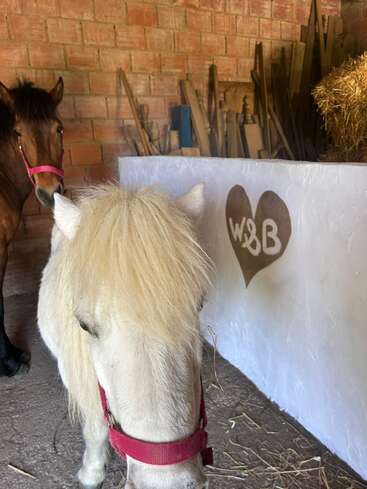Um pônei branco com um cabresto vermelho está em frente a um cavalo marrom. No fundo, uma parede de tijolos, um fardo de feno e um cartaz em forma de coração com as letras W&B.