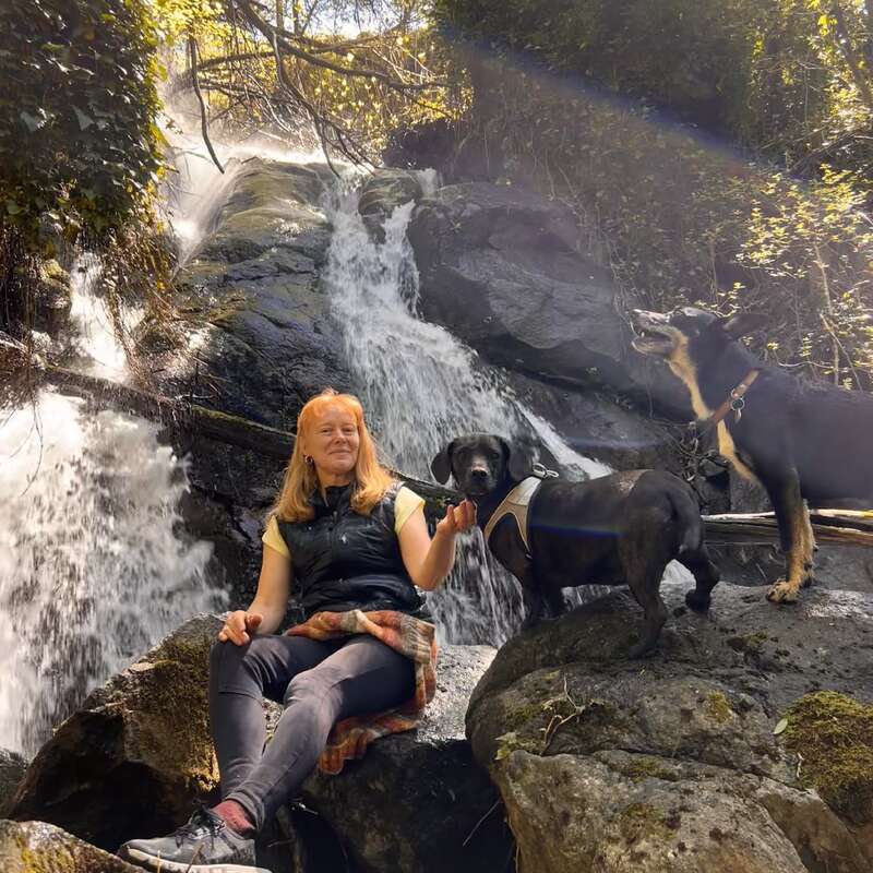 Uma mulher está sentada em rochas perto de uma cachoeira com dois cachorros. A luz do sol penetra entre as árvores, criando uma cena serena e repleta de natureza, que transmite relaxamento e companheirismo.