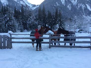 The image depicts a serene winter scene featuring a woman interacting with three horses in a fenced enclosure, set against a backdrop of snow-covered mountains and trees.