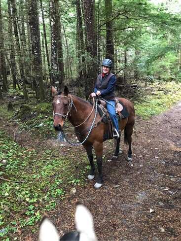 A imagem mostra uma mulher montada em um cavalo marrom em um caminho de terra em uma área arborizada, usando capacete e colete.