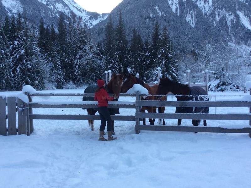 A imagem retrata uma cena serena de inverno com uma mulher interagindo com três cavalos em um cercado, tendo como pano de fundo montanhas e árvores cobertas de neve.