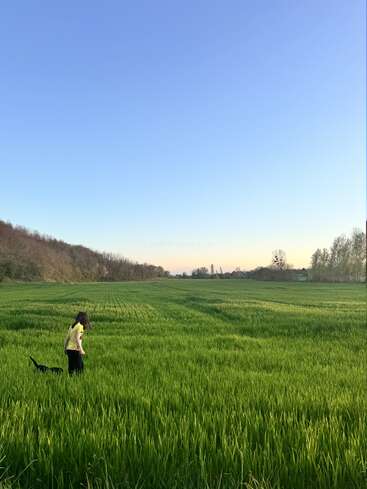 Au coucher du soleil, une jeune fille vêtue d'un t-shirt jaune se promène dans un champ verdoyant en compagnie d'un chien noir. Le ciel est clair et bleu.