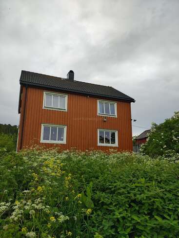 A red wooden house stands amidst lush green wildflowers and plants, under a cloudy sky, with white-framed windows adding charm to the peaceful countryside scene.