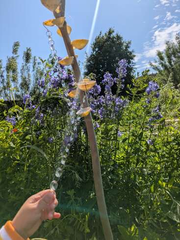 A child’s hand holds clear beads near a wooden pole decorated with yellow cups, surrounded by vibrant purple flowers under a sunny, blue sky.