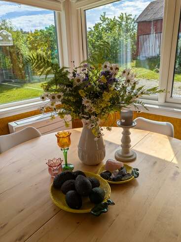 A sunlit wooden table holds a wildflower bouquet, avocados on a yellow plate, decorative glassware, a candle, and colorful stones, with large garden windows behind.