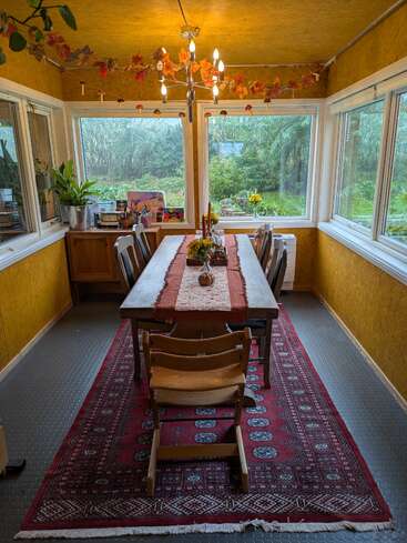 A cozy dining room with large windows, autumn decorations, and a red rug. The wooden table is set for fall, surrounded by chairs and plants.