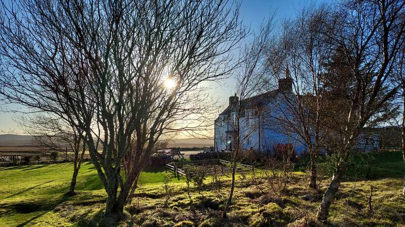 Das Bild zeigt eine ruhige Szene mit einem Haus und einem großen Garten mit einem Baum und einem Zaun vor dem Hintergrund eines klaren blauen Himmels und einer grasbewachsenen Wiese.