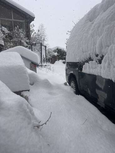 Heavy snowfall blankets everything in deep, fluffy snow. A car, house, and bushes are covered, creating a serene, wintry scene with falling snowflakes and overcast sky.