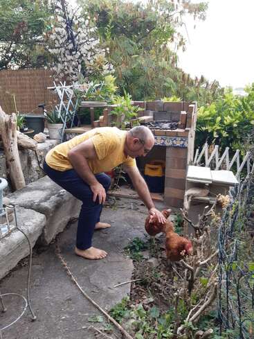 Un hombre con camisa amarilla y pantalones azules da de comer o acaricia a dos gallinas marrones en un jardín rústico con plantas, una barbacoa y un banco de piedra.
