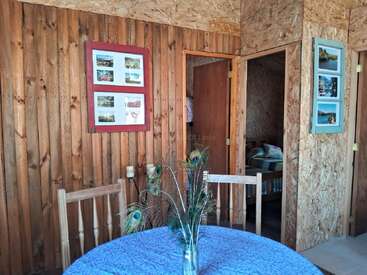 This cozy wooden cabin interior features a round table with a blue cloth, peacock feathers centerpiece, framed wall photos, and a glimpse into a bedroom.