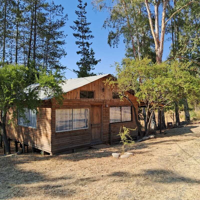 A rustic wooden cabin sits surrounded by tall trees and dry grass, basking in sunlight, creating a peaceful, secluded atmosphere ideal for relaxation or retreat.