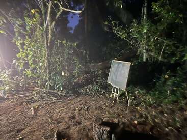 In a dimly lit forest clearing, a chalkboard stands on an easel surrounded by trees, plants, and soil, creating an outdoor classroom atmosphere at night.