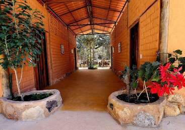 This image shows a covered outdoor hallway with orange brick walls, potted plants on both sides, and a view of trees and nature at the far end.