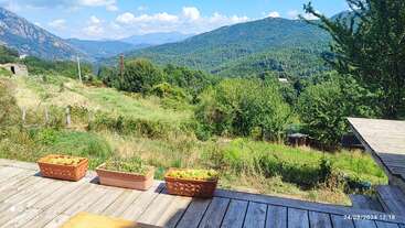 Eine Holzterrasse bietet einen Blick auf ein üppig grünes Tal mit Bergen in der Ferne. Blumentöpfe säumen den Rand, und Bäume umgeben die ruhige, sonnenbeschienene Landschaft.