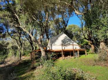 A white canvas tent sits elevated on a wooden platform in a sunlit forest, surrounded by tall trees and green grass, creating a serene, natural retreat.