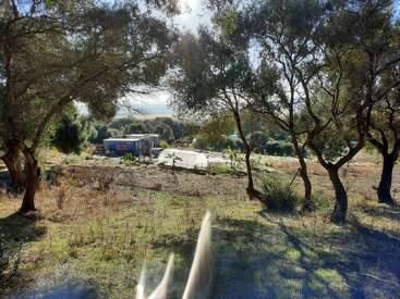 Sunlight filters through trees onto a small rural farm. There’s a blue shipping container, a greenhouse, and rows of plants, surrounded by nature and greenery.