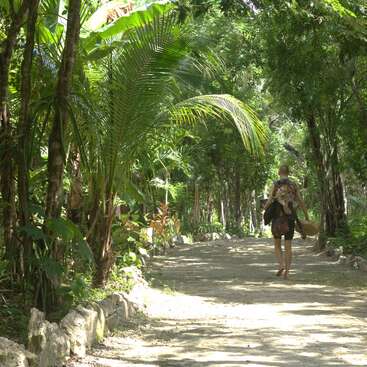 A barefoot person walks down a sunlit dirt path surrounded by lush green tropical trees, carrying a colorful bag and various items, embracing nature’s tranquility.