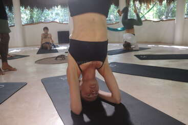 A group yoga class practices indoors. The focus is on a woman performing a headstand on a mat, while others do poses in a sunlit room.