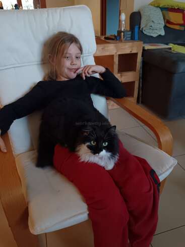 Une jeune fille est confortablement installée dans un fauteuil blanc ; elle porte un pantalon rouge et un t-shirt noir, et un chat noir et blanc tout doux est assis sur ses genoux.