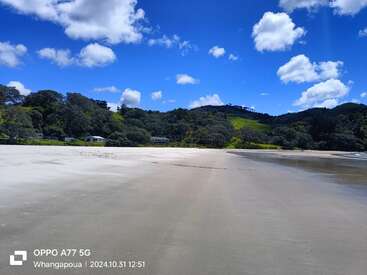 A serene beach with smooth sand stretches toward lush green hills and scattered houses, under a bright blue sky filled with fluffy white clouds. Peaceful afternoon.