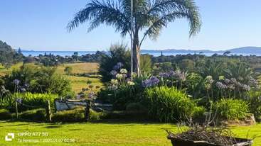 A vibrant garden with flowering plants and palms overlooks open fields. Beyond, houses dot the landscape, leading to a sparkling blue bay and distant hills.