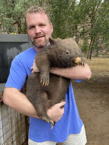 Un hombre con camisa azul sonríe mientras sostiene un gran wombat marrón. Están al aire libre, rodeados de árboles y recintos vallados.