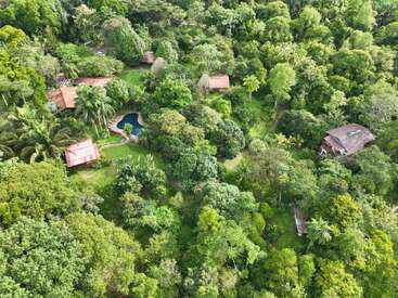 Vista aérea de una exuberante selva verde con cabañas dispersas, senderos serpenteantes, palmeras y una piscina central de forma natural rodeada de denso y vibrante follaje.