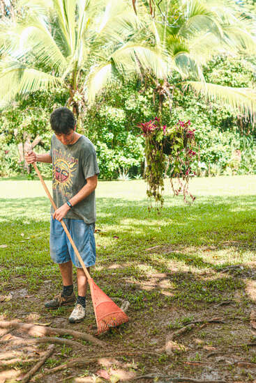 Jemand in einem T-Shirt mit Aufdruck und Shorts harkt einen grasbewachsenen, matschigen Hof, der von üppiger tropischer Vegetation und Palmen umgeben ist, mit einer hängenden Pflanze in der Nähe.