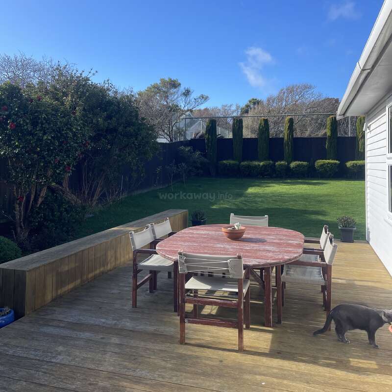 O quintal ensolarado tem um deck de madeira com uma mesa redonda e seis cadeiras, grama verde exuberante, árvores, arbustos e um gato passeando pela casa.