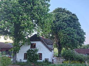 A quaint white cottage with red trim sits beneath blossoming trees. Surrounding greenery, rustic rooftops, and outdoor furniture create a peaceful countryside atmosphere at dusk.