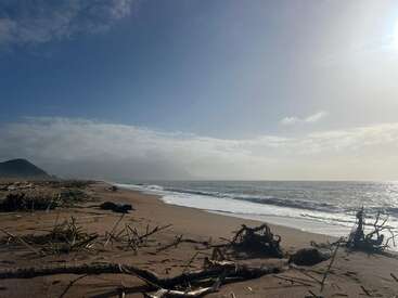 A serene beach scene with scattered driftwood on the sand, gentle waves rolling in, misty mountains in the background, and sunlight breaking through a cloudy sky.