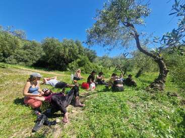 Um grupo de pessoas relaxa na grama verde sob as oliveiras, aproveitando um dia ensolarado. Alguns estão deitados, outros sentados, conversando e descansando.