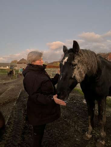 Uma mulher vestindo um casaco escuro está interagindo gentilmente com um cavalo preto em um ambiente externo lamacento, com prédios de fazenda e céu nublado ao fundo.
