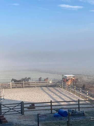 L'image représente un corral serein avec six chevaux, sur fond d'un vaste champ et d'un ciel bleu brumeux, évoquant un sentiment de tranquillité.