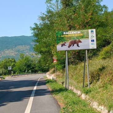 The image depicts a scenic road with a sign featuring a bear and cub, set against a backdrop of trees and mountains under a clear blue sky.